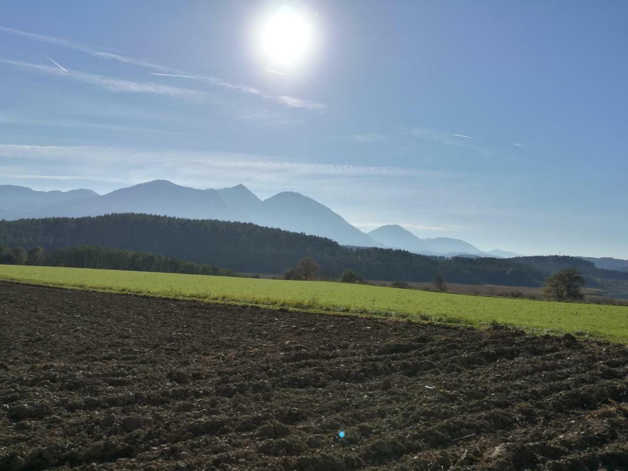 Landgasthof Piroutz Sankt Kanzian am Klopeiner See Exterior photo